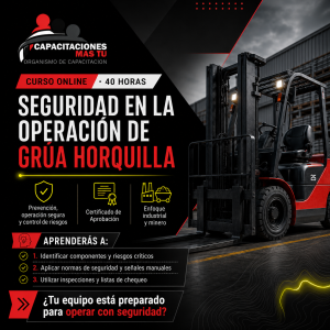 Seguridad en la Operación de Grúa horquilla